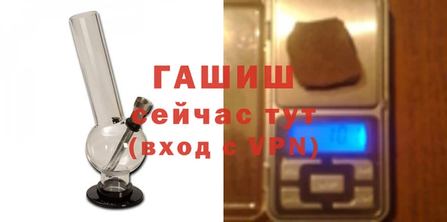 молекула духа Новый Уренгой